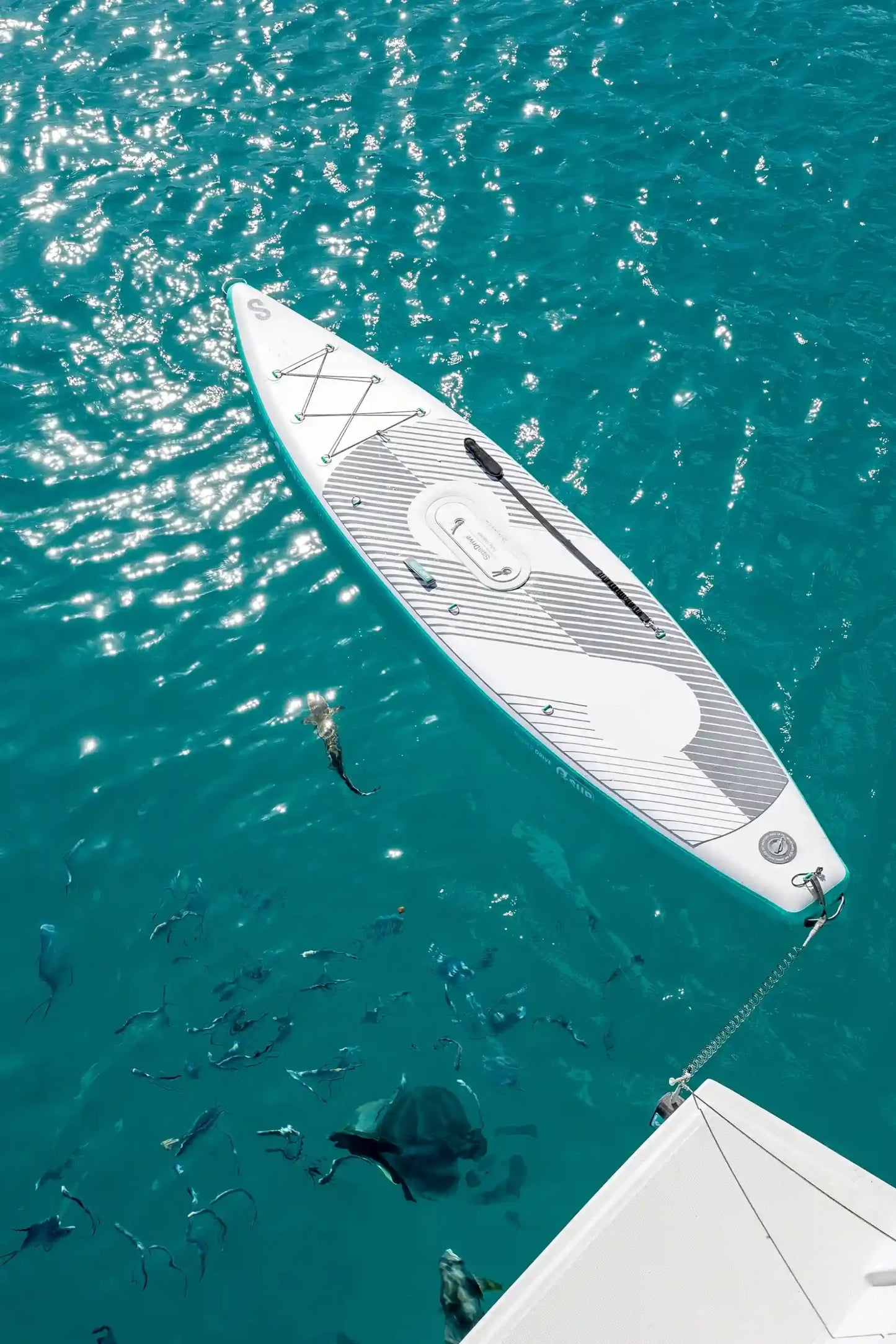 SipaBoard Touring Electric paddleboard – eSUP session booking at MontanaBoardingSchool.com. Rent from MTBoarders.com or buy from E-Boarders.com